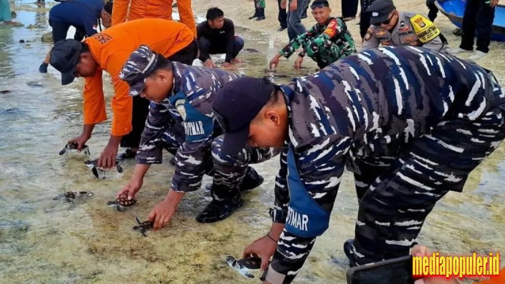 Lanal Ranai lepas 170 tukik di Pantai Pulau Perhantu